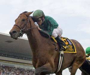 Gio Ponti