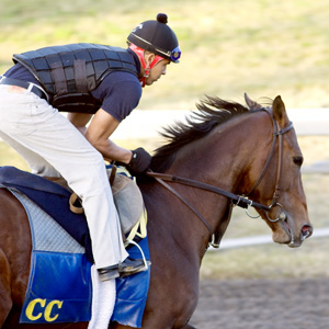 Gio Ponti