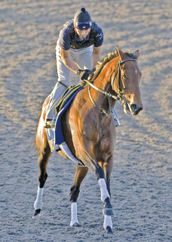 Gio Ponti