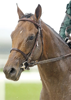 Gio Ponti
