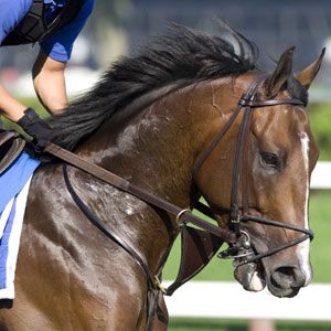 Girolamo