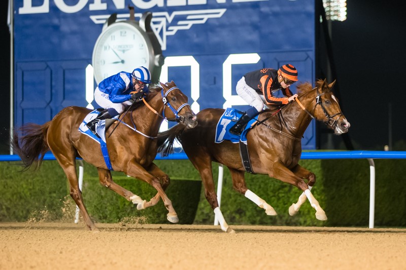 Gladiator King wins the 2020 Dubawi Stakes