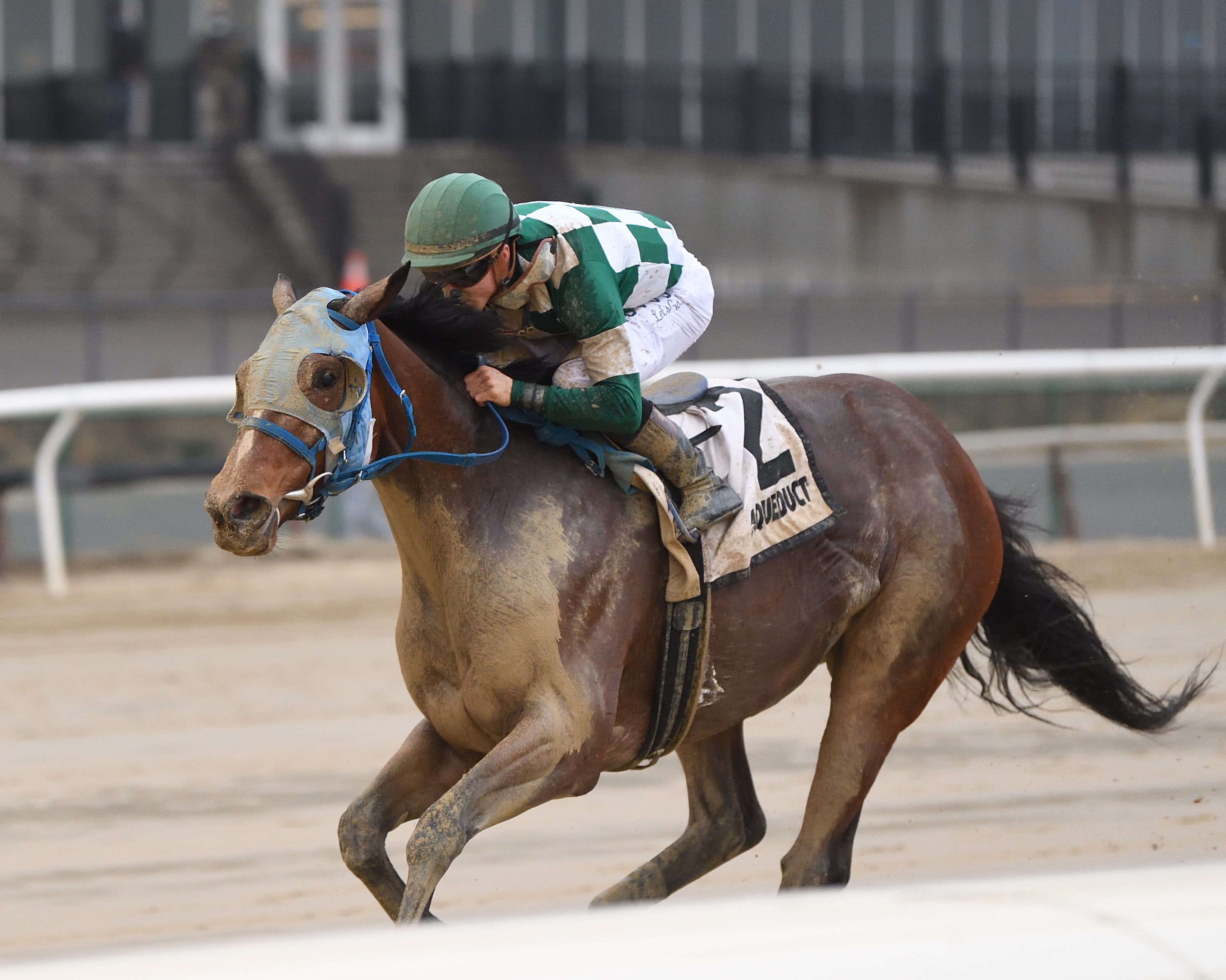 Glass Ceiling wins the Garland of Roses 12-11-2021