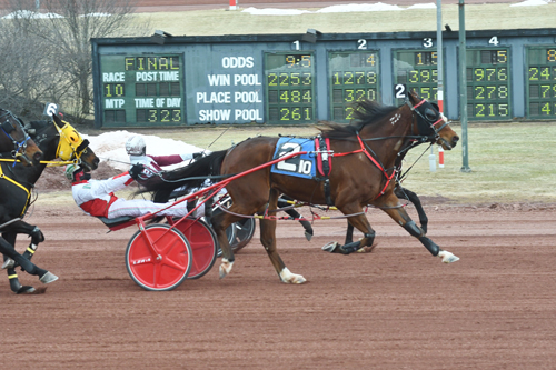 Glengarry Knight N 3/6/21