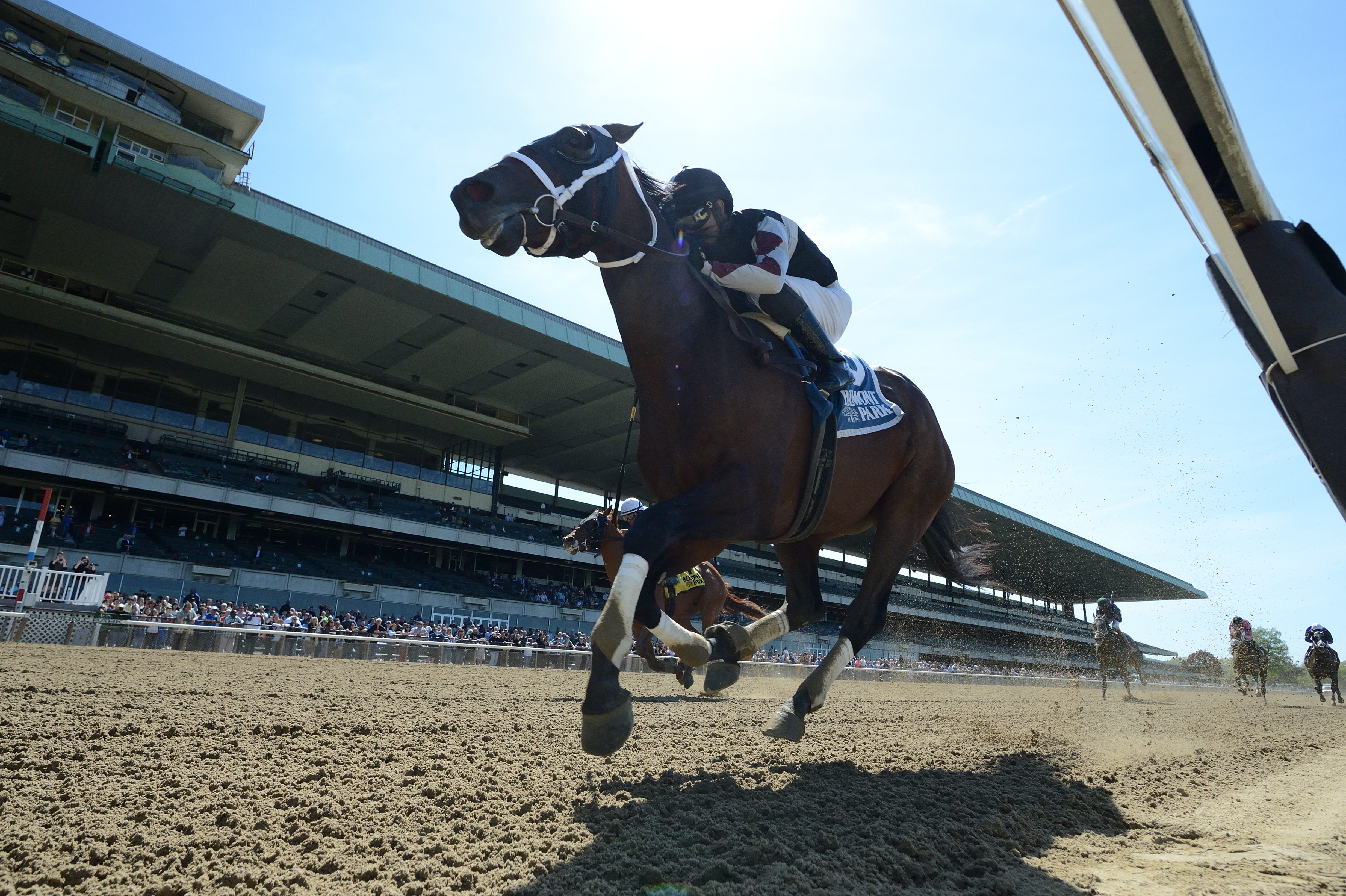 Global Campaign wins the 2019 Peter Pan