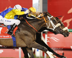 Gloria de Campeao wins a blanket finish