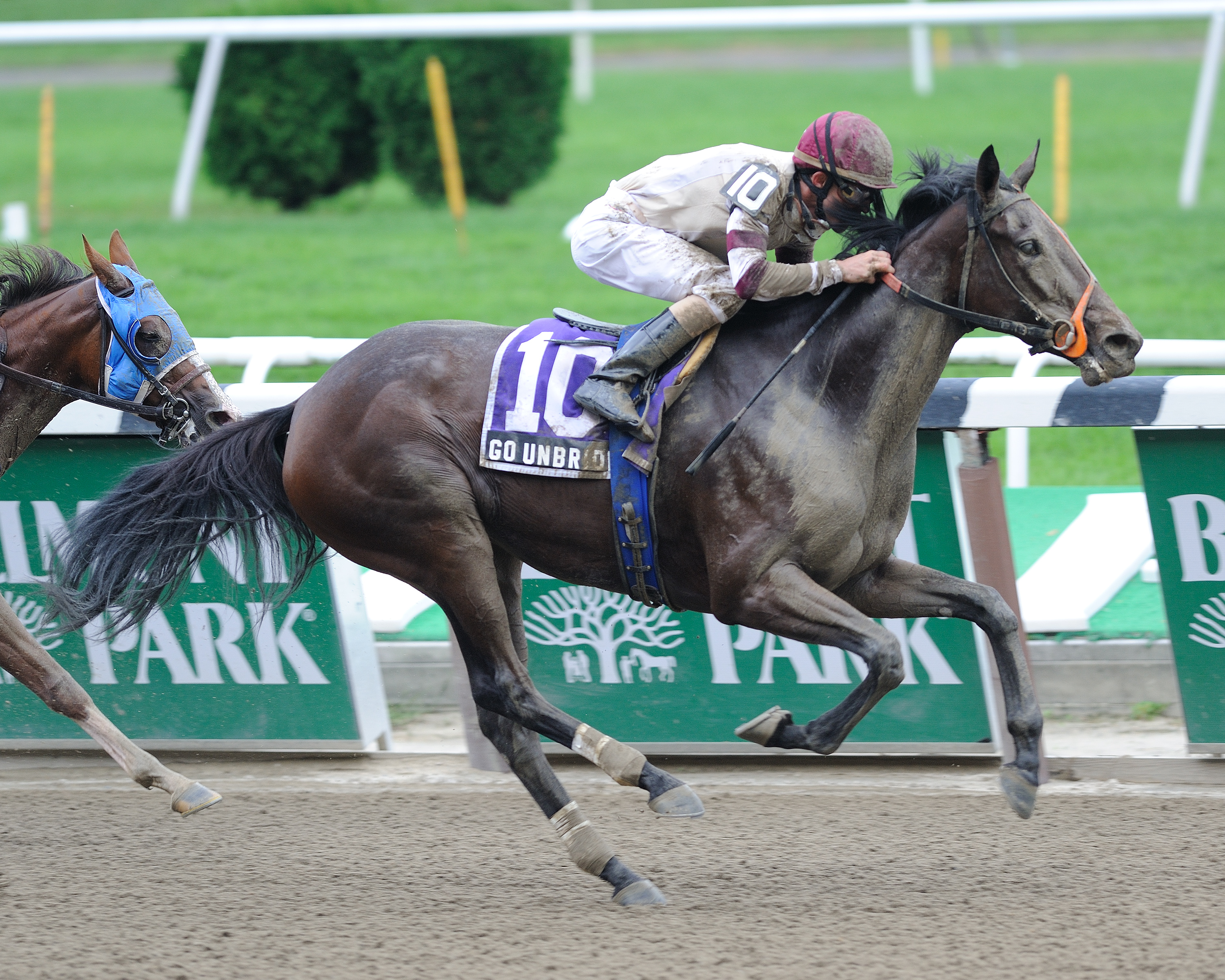 Go Unbridled/Hettinger