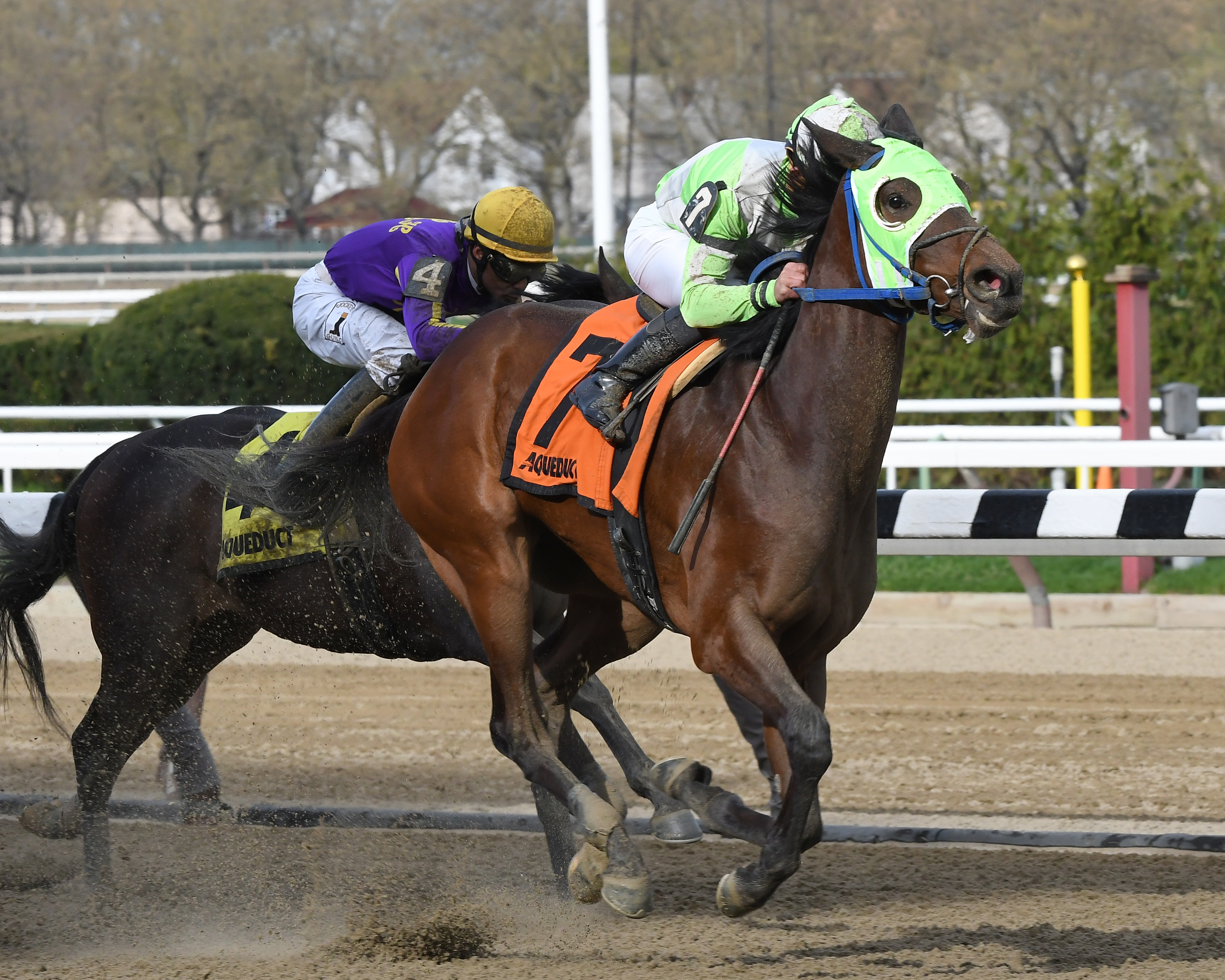 Gold for the King 4-23-2017