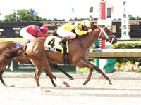 Gold Mover