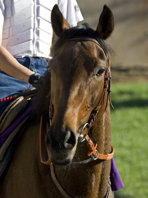 Goldikova