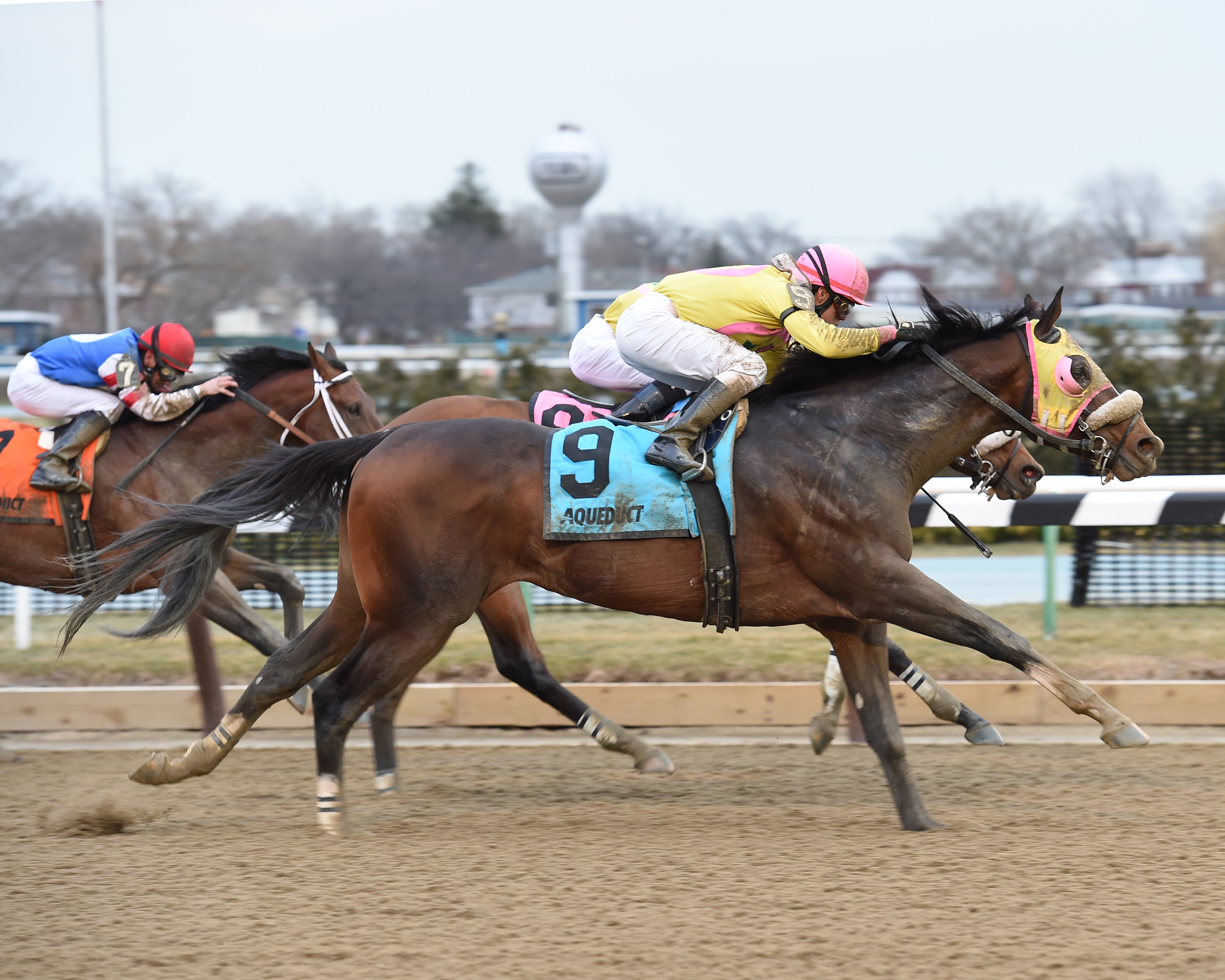 Good Luck Gus 2-21-2016