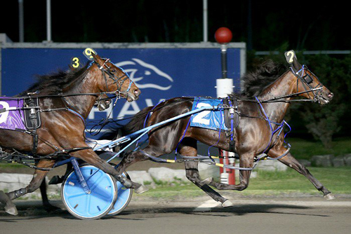 Good Will Hanover 5/28/16