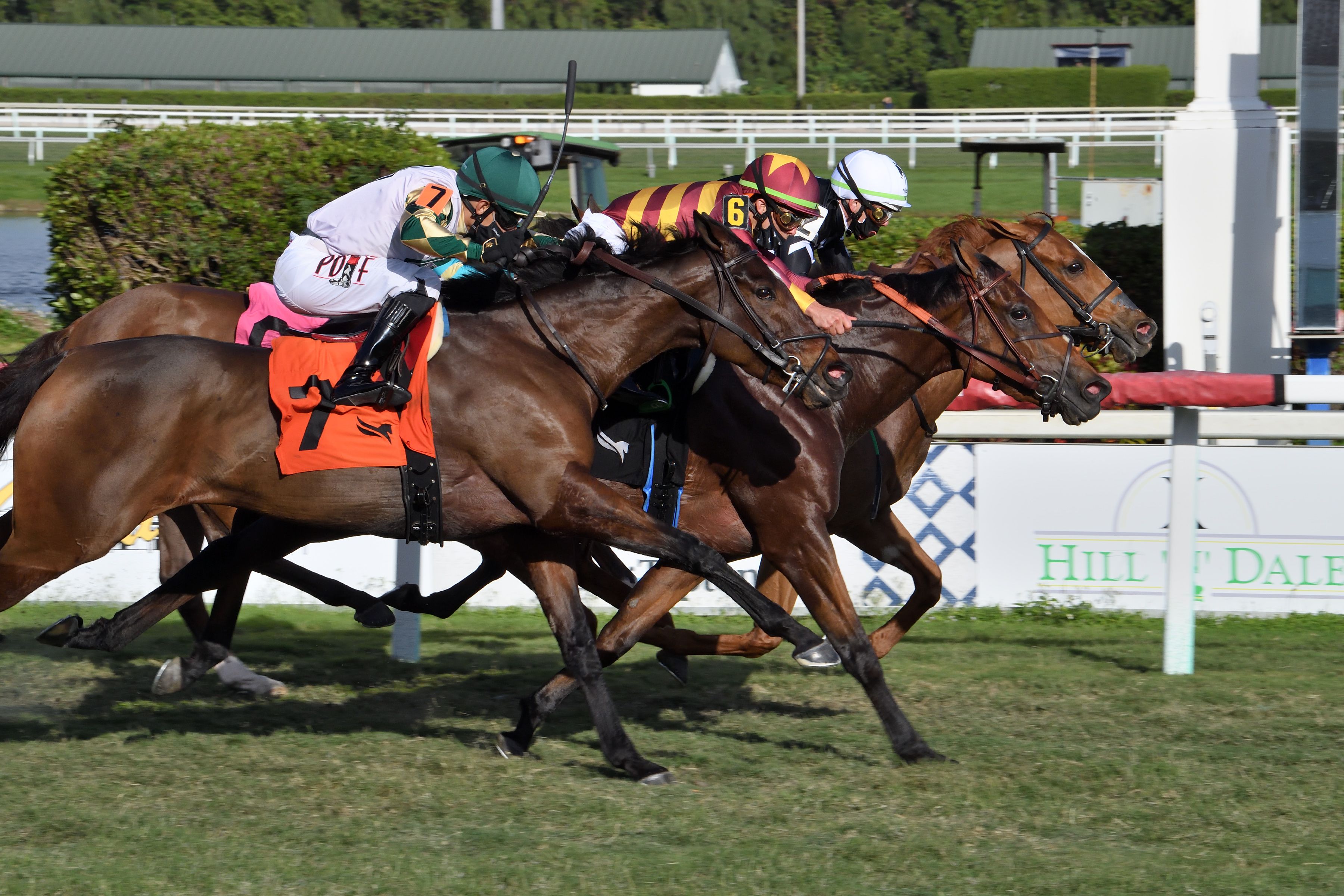 Got Stormy wins Honey Fox Stakes 2-27-2021
