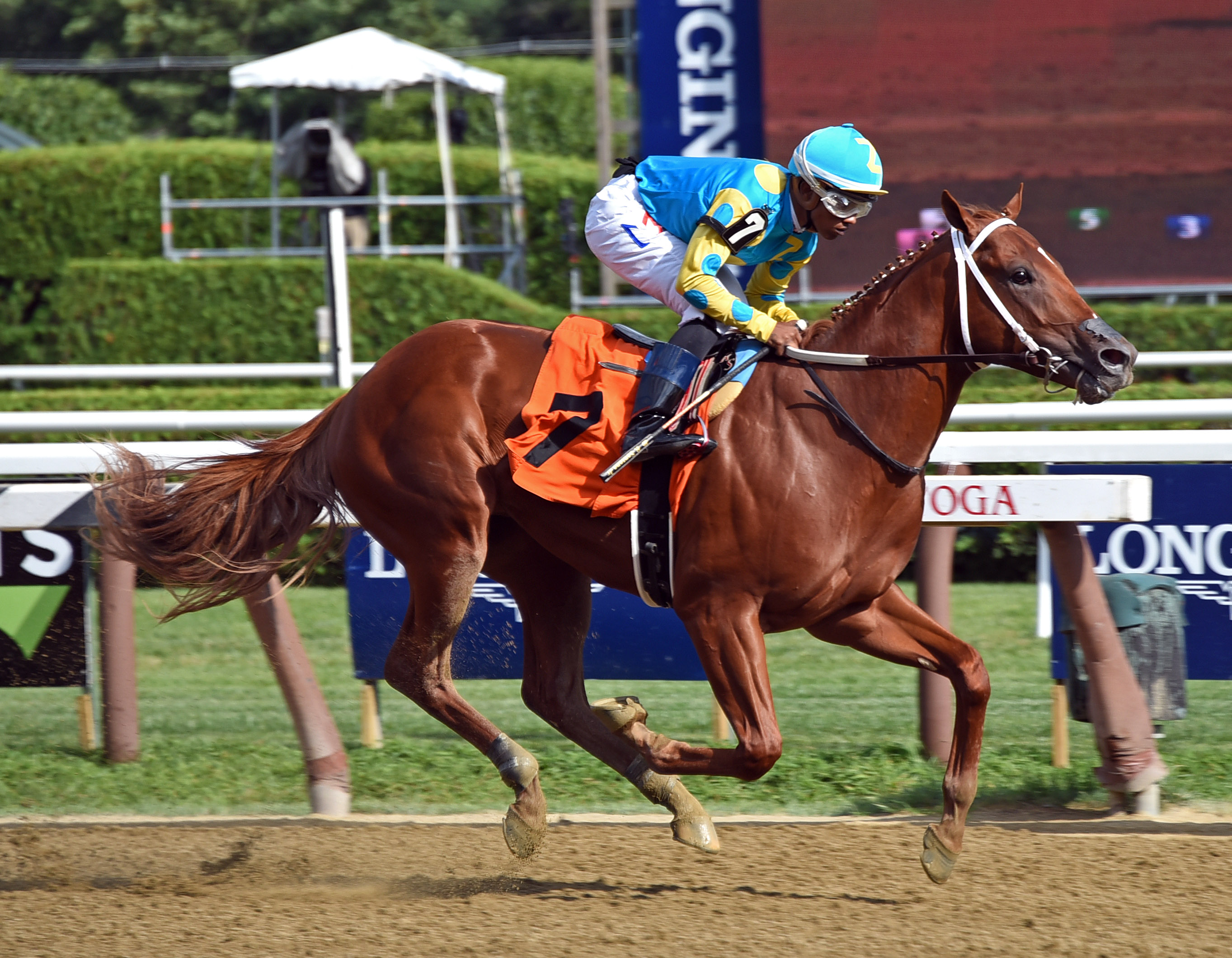 Gozilla wins a Saratoga maiden race on 8.10.19