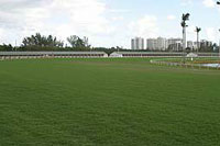 Gulfstream Park