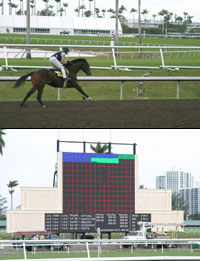 Gulfstream Park