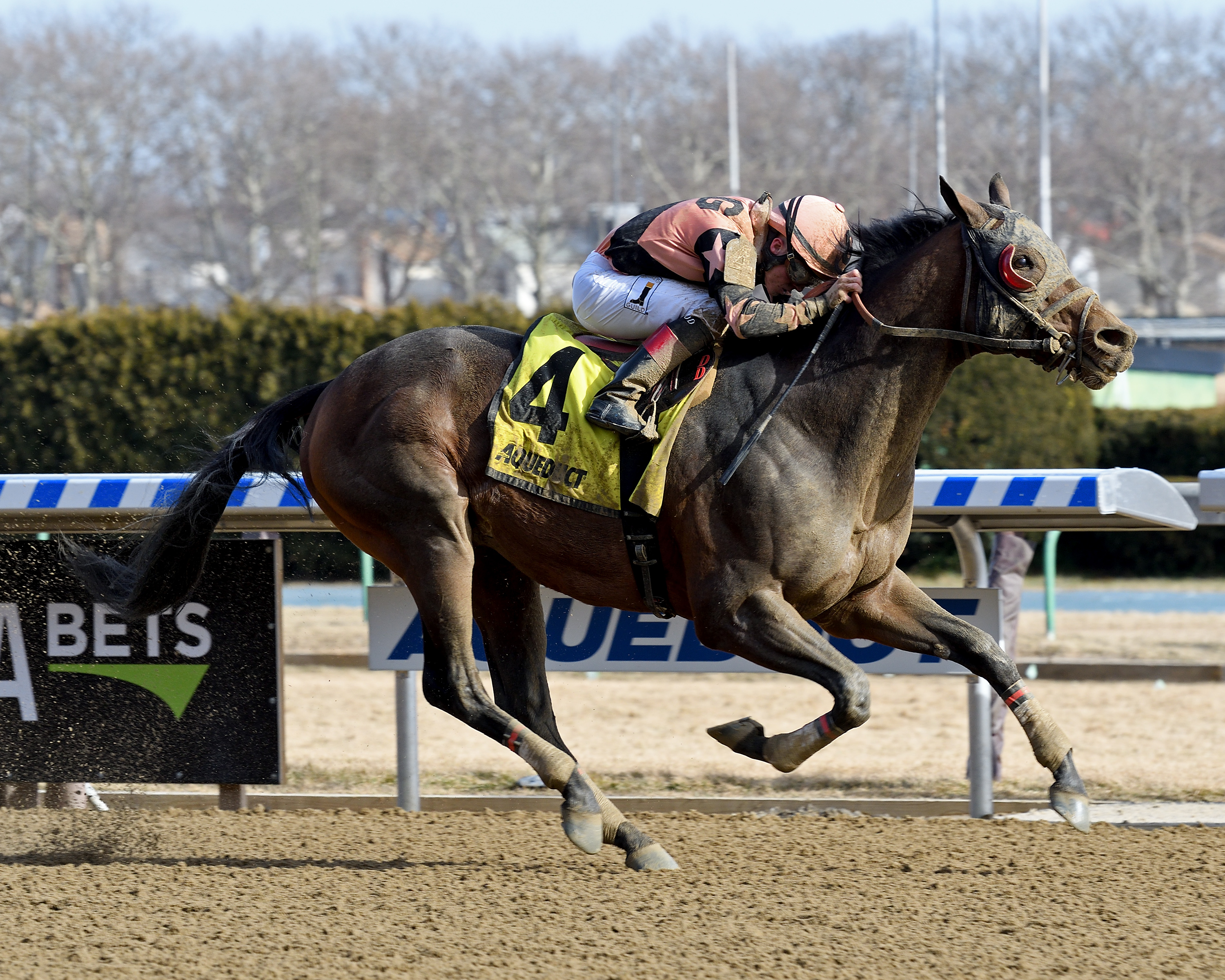 Great Stuff wins the 2018 Toboggan Stakes