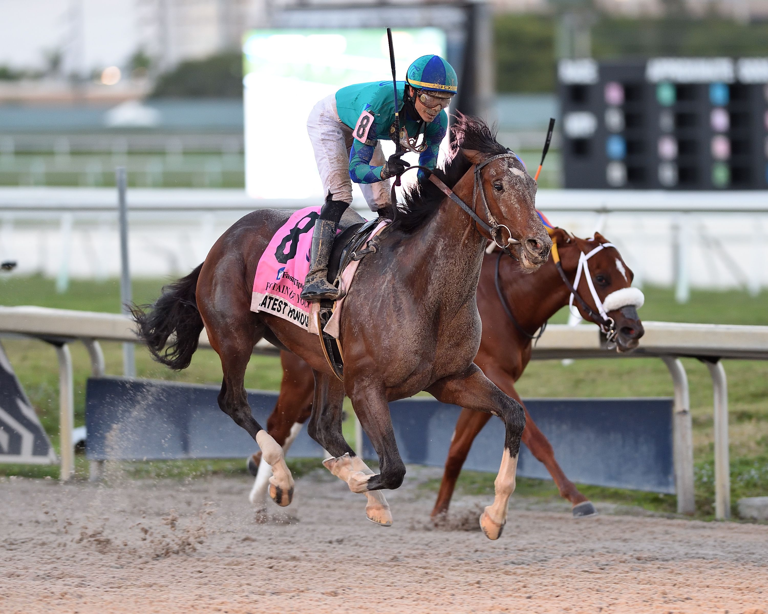 Greatest Honor wins Fountain of Youth 2-27-2021