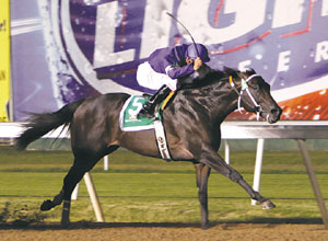 Greeley's Conquest