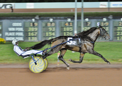 Greenshoe 6/22/19