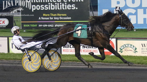 Greenshoe 5/17/19