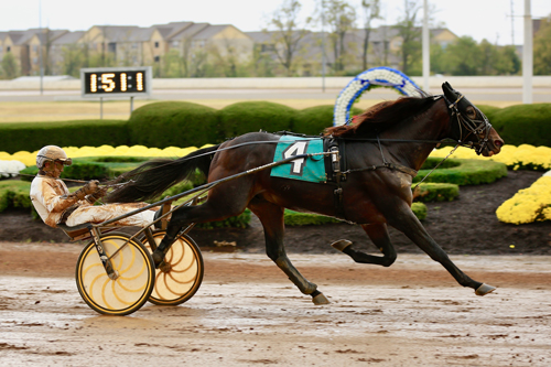 Greenshoe 10/6/19