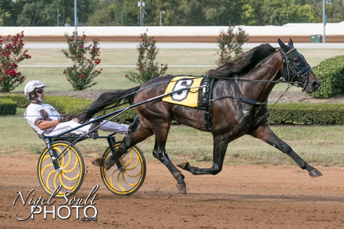 Greenshoe 9/15/19