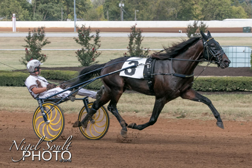 Greenshoe 9/29/19