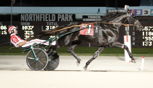 Guardian Angel AS 6/29/19