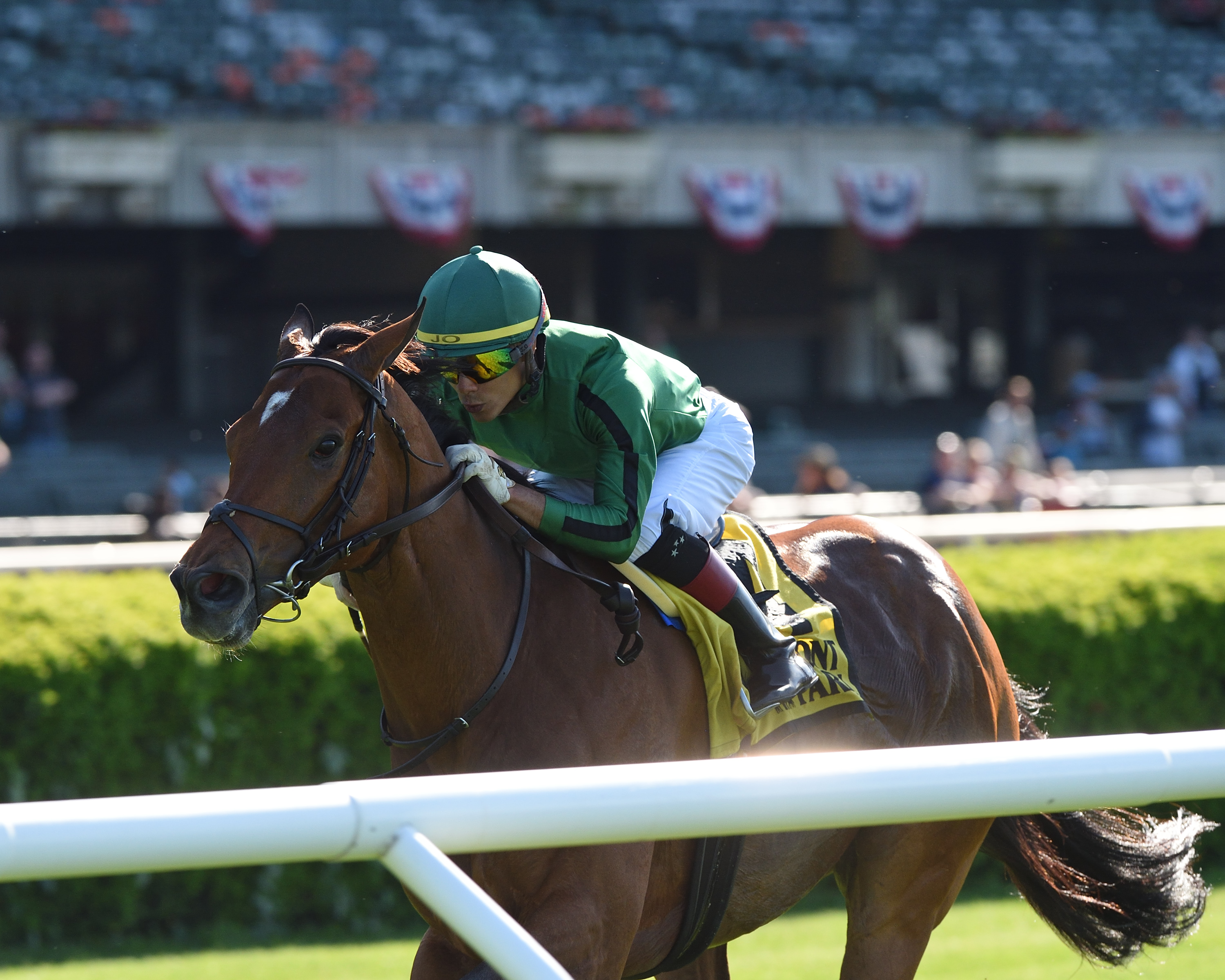Gucci Factor wins the 2019 Kingston Stakes