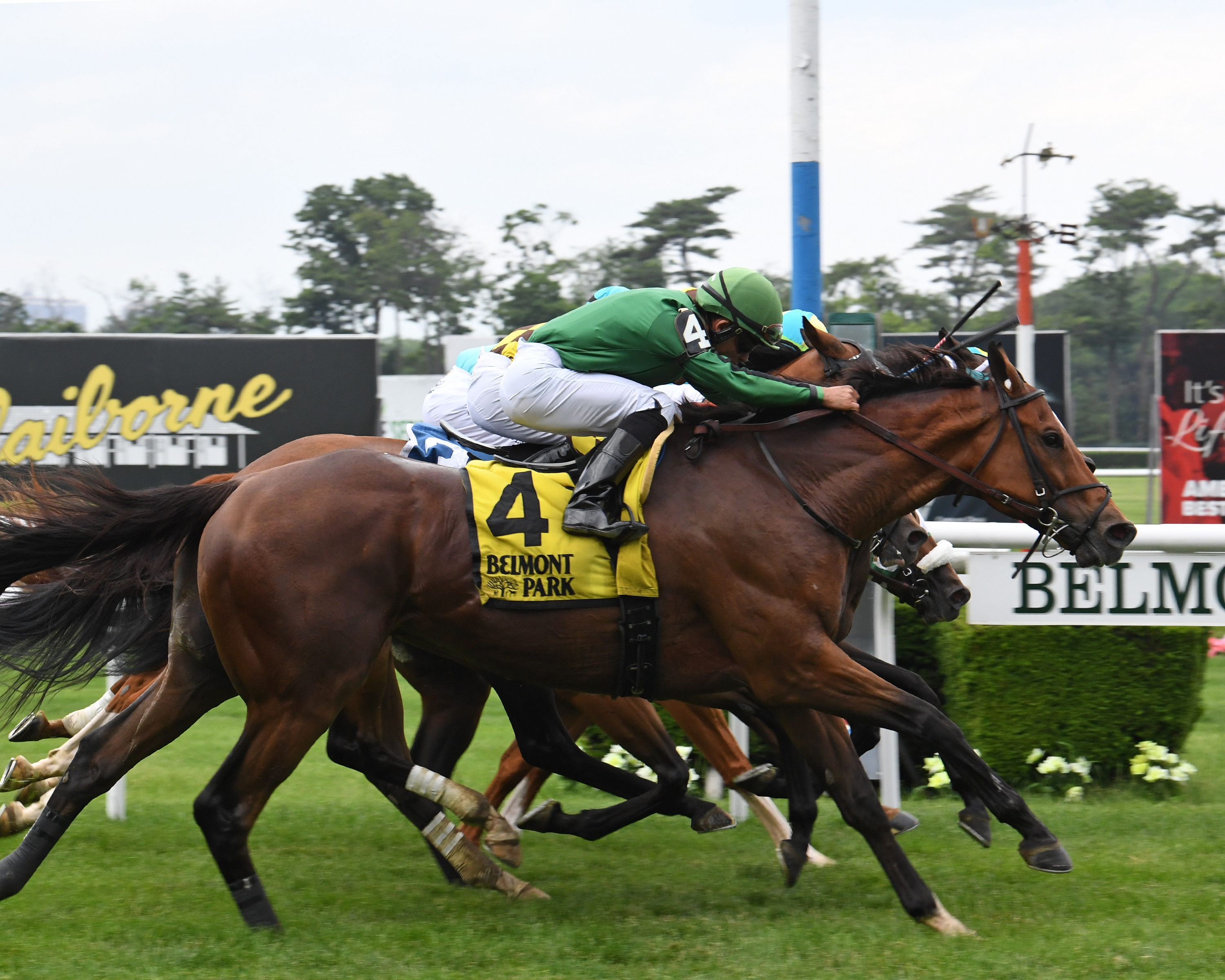 Gucci Factor wins the 2019 Poker Stakes