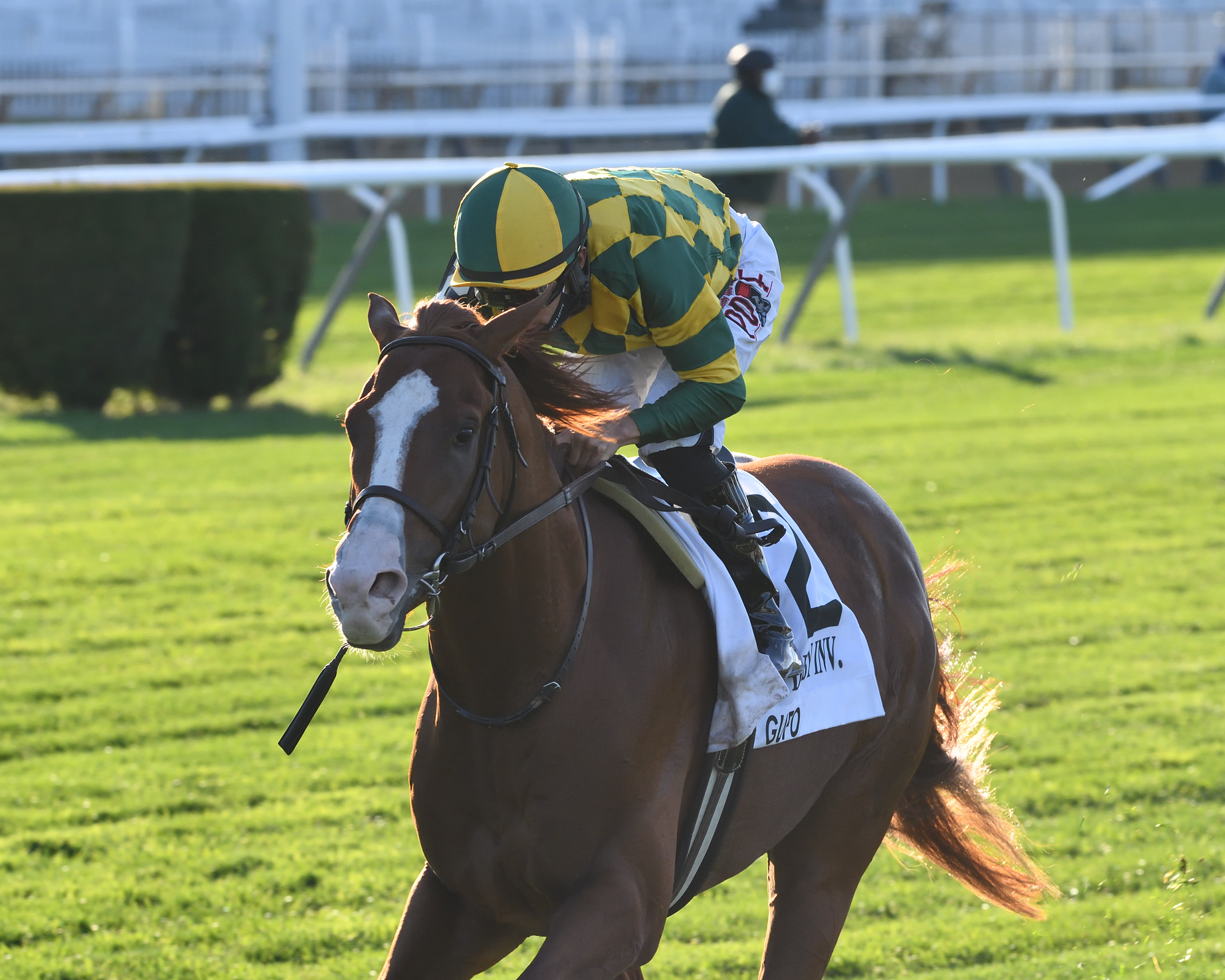 Gufo wins Belmont Derby 10-3-2020
