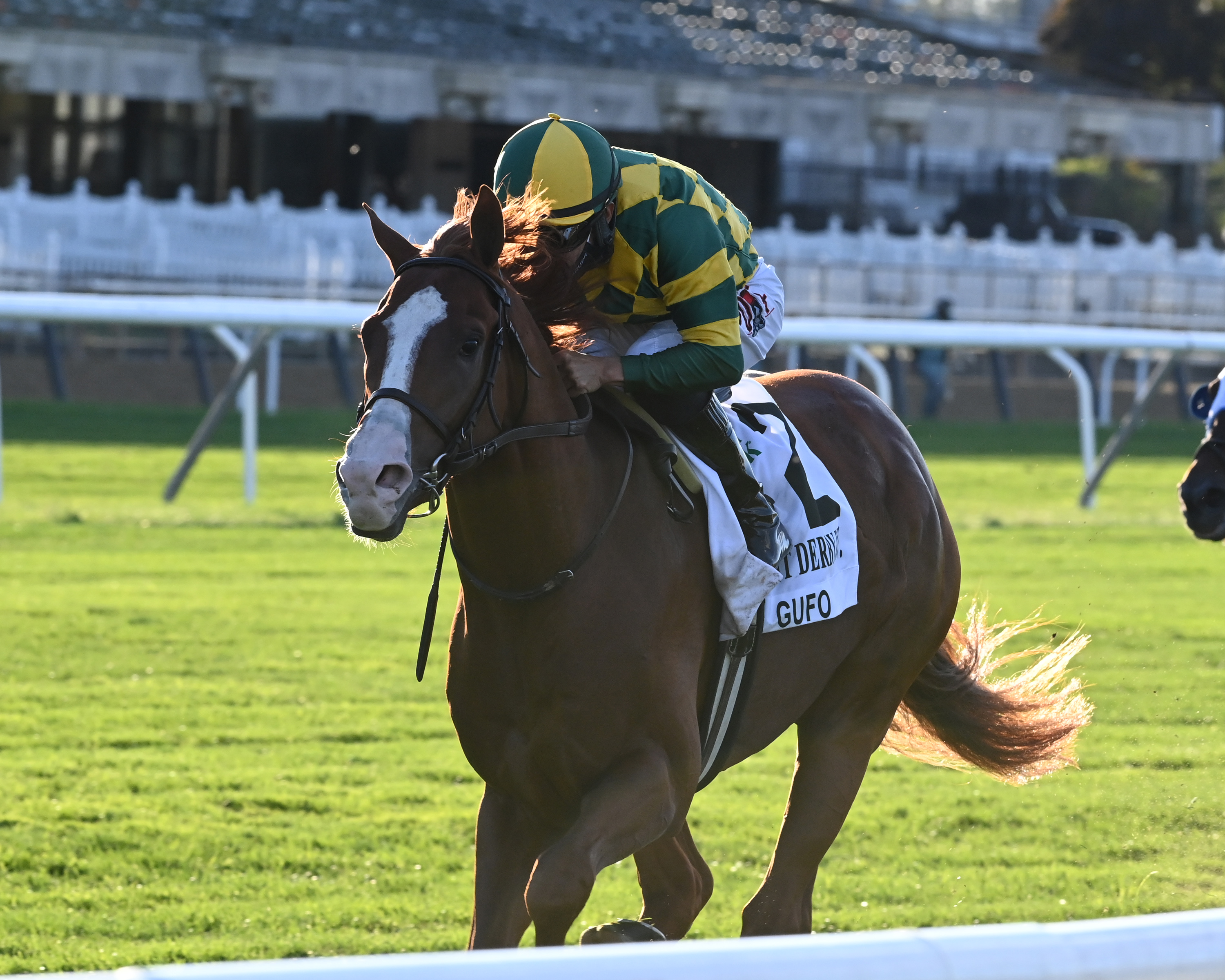 Gufo the Belmont Derby Inv