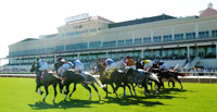 Gulfstream Park