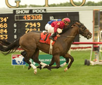 Gun Salute