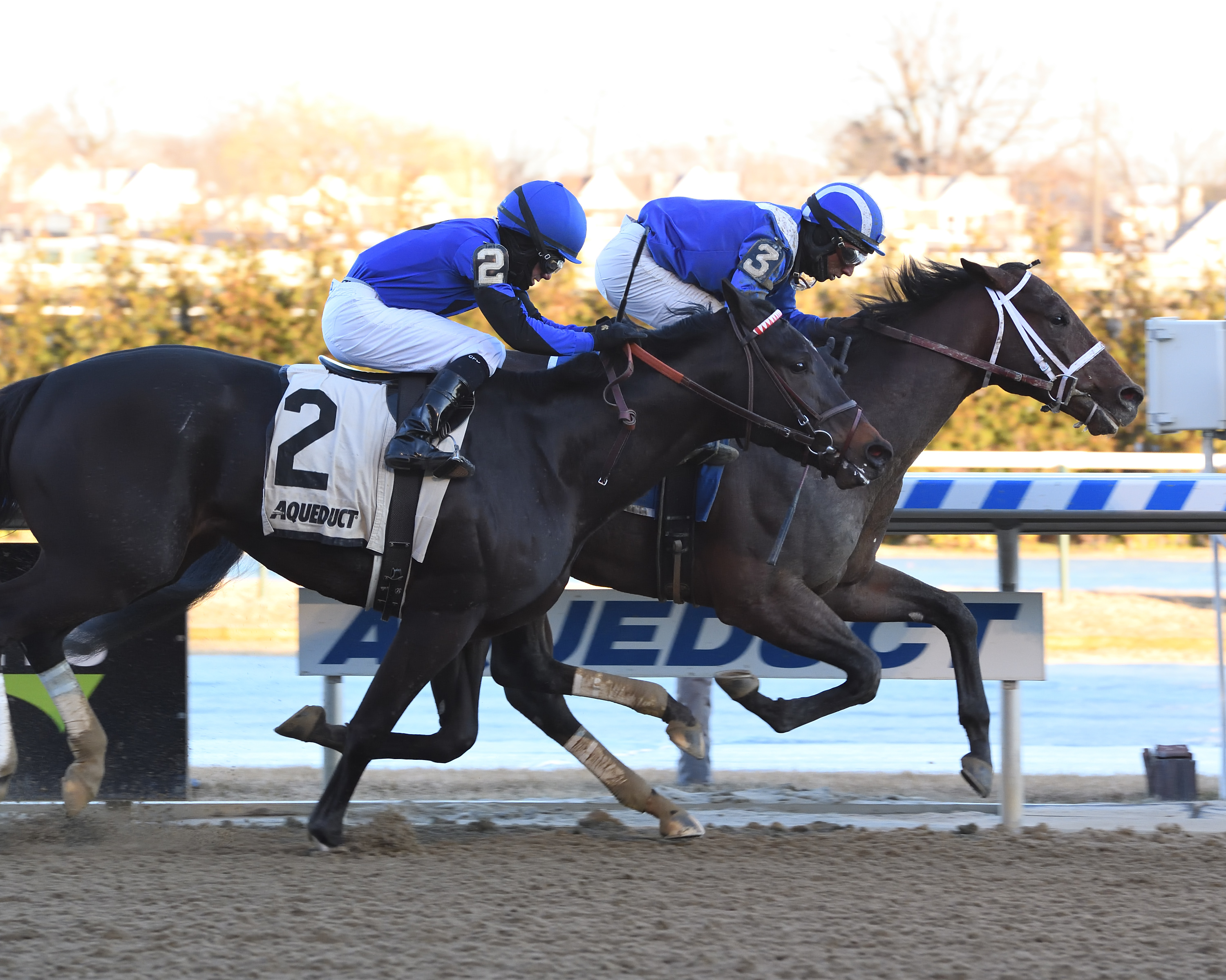 Haikal wins 2019 Jimmy Winkfield