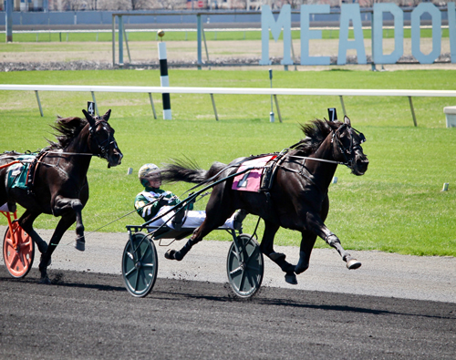 Hannelore Hanover 4/21/18