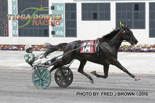 Hannelore Hanover 8/14/16