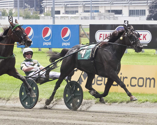 Hannelore Hanover 8/6/16