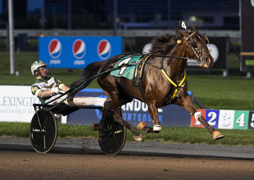 Hannelore Hanover 7/13/19