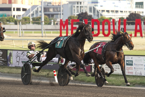 Hannelore Hanover 7/14/18