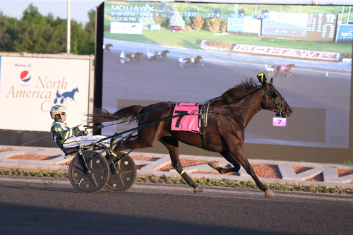 Hannelore Hanover 6/10/16