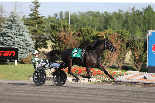 Hannelore Hanover 6/18/16