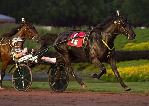 Hannelore Hanover 6/29/19