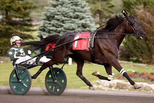 Hannelore Hanover 6/9/17