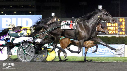 Hannelore Hanover 5/5/18
