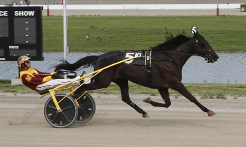 Hannelore Hanover 5/8/16