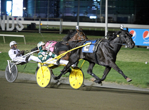 Hannelore Hanover 11/12/16