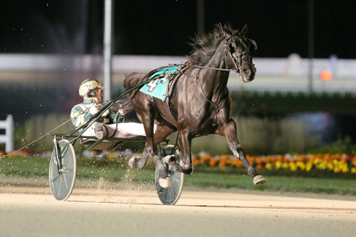 Hannelore Hanover 10/21/17