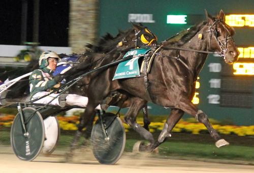 Hannelore Hanover 10/28/17